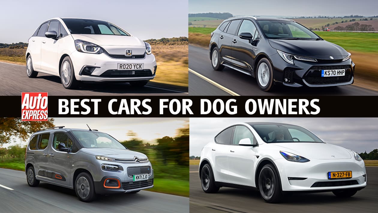 Top 10 best cars for dog owners to buy 2022 Auto Express